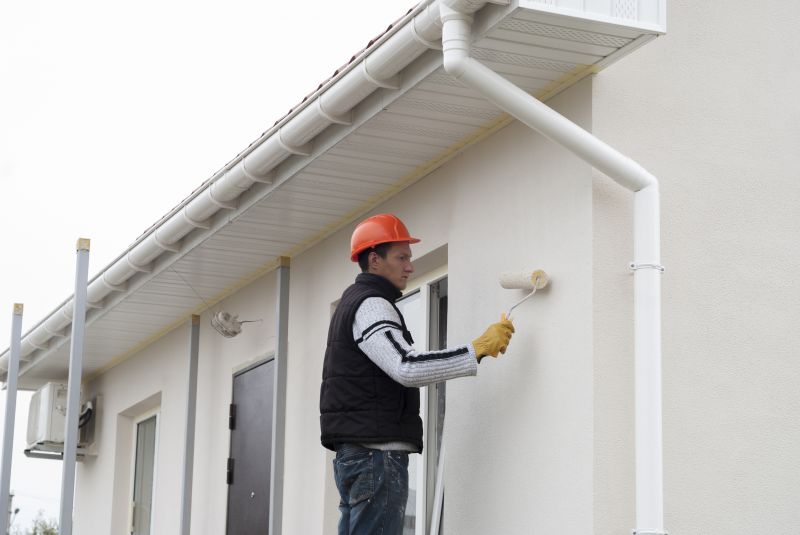Chimney Painting in Longmont, CO